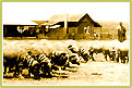 The Delamere Ranch